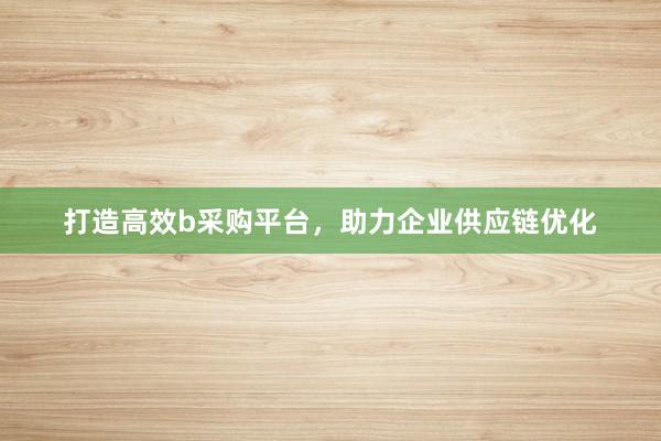 打造高效b采购平台，助力企业供应链优化
