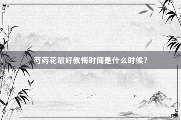 芍药花最好教悔时间是什么时候？