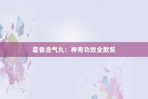 藿香浩气丸：神奇功效全默契